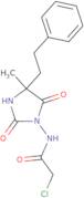 2-Chloro-N-[4-methyl-2,5-dioxo-4-(2-phenylethyl)imidazolidin-1-yl]acetamide