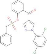 2-{[1-(2,5-Dichlorophenyl)-1H-pyrazol-4-yl]carbonyl}phenyl phenylmethanesulfonate