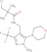 3-Chloro-2,2-dimethyl-N-{[1-methyl-5-morpholino-3-(trifluoromethyl)-1H-pyrazol-4-yl]methyl}propana…