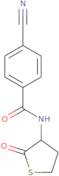 4-Cyano-N-(2-oxothiolan-3-yl)benzamide