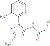 2-Chloro-N-[3-methyl-1-(2-methylphenyl)-1H-pyrazol-5-yl]acetamide