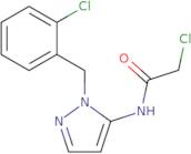 2-Chloro-N-{1-[(2-chlorophenyl)methyl]-1H-pyrazol-5-yl}acetamide