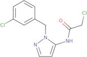 2-Chloro-N-{1-[(3-chlorophenyl)methyl]-1H-pyrazol-5-yl}acetamide