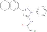 2-Chloro-N-[1-phenyl-3-(5,6,7,8-tetrahydronaphthalen-2-yl)-1H-pyrazol-5-yl]acetamide