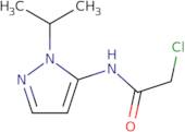 2-Chloro-N-[1-(propan-2-yl)-1H-pyrazol-5-yl]acetamide