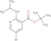 5-Bromo-2-isopropylamino-nicotinic acid tert-butyl ester