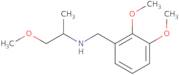 (2,3-Dimethoxy-benzyl)-(2-methoxy-1-methyl-ethyl)-amine