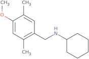 N-(4-Methoxy-2,5-dimethylbenzyl)cyclohexanamine