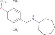 N-(4-Methoxy-2,5-dimethylbenzyl)cycloheptanamine