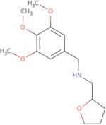 (Tetrahydro-furan-2-ylmethyl)-(3,4,5-trimethoxy-benzyl)-amine