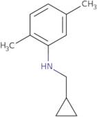 N-(Cyclopropylmethyl)-2,5-dimethylaniline