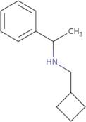(Cyclobutylmethyl)(1-phenylethyl)amine