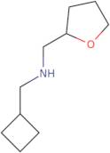 (Cyclobutylmethyl)(tetrahydrofuran-2-ylmethyl)amine