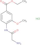 Ethyl 4-(2-aminoacetamido)-3-methoxybenzoate hydrochloride