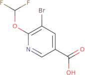 5-Bromo-6-(difluoromethoxy)pyridine-3-carboxylic acid