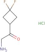 2-Amino-1-(3,3-difluorocyclobutyl)ethan-1-one hydrochloride