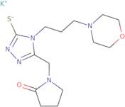 Potassium {4-[3-(morpholin-4-yl)propyl]-5-[(2-oxopyrrolidin-1-yl)methyl]-4H-1,2,4-triazol-3-yl}sulfanide