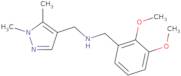 [(2,3-Dimethoxyphenyl)methyl][(1,5-dimethyl-1H-pyrazol-4-yl)methyl]amine