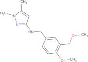 N-{[4-Methoxy-3-(methoxymethyl)phenyl]methyl}-1,5-dimethyl-1H-pyrazol-3-amine
