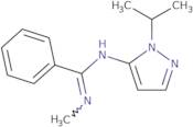 N-Methyl-N'-[1-(propan-2-yl)-1H-pyrazol-5-yl]benzenecarboximidamide