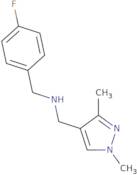 [(1,3-Dimethyl-1H-pyrazol-4-yl)methyl][(4-fluorophenyl)methyl]amine