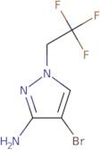 4-Bromo-1-(2,2,2-trifluoroethyl)-1H-pyrazol-3-amine