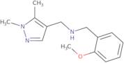 [(1,5-Dimethyl-1H-pyrazol-4-yl)methyl][(2-methoxyphenyl)methyl]amine