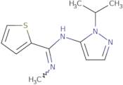 N-Methyl-N'-[1-(propan-2-yl)-1H-pyrazol-5-yl]thiophene-2-carboximidamide