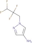 1-(2,2,3,3-Tetrafluoropropyl)-1H-pyrazol-4-amine