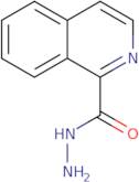 Isoquinoline-1-carboxylic acid hydrazide