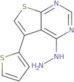 4-Hydrazino-5-thien-2-ylthieno[2,3-d]pyrimidine