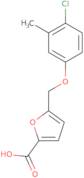 5-(4-Chloro-3-methylphenoxymethyl)furan-2-carboxylic acid