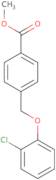 4-(2-Chloro-phenoxymethyl)-benzoic acid methyl ester