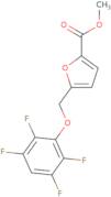 Methyl 5-[(2,3,5,6-tetrafluorophenoxy)methyl]-2-furoate