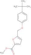 5-(4-tert-Butyl-phenoxymethyl)-furan-2-carboxylic acid methyl ester