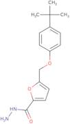 5-(4-tert-Butyl-phenoxymethyl)-furan-2-carboxylic acid hydrazide