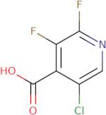 5-Chloro-2,3-difluoropyridine-4-carboxylic acid