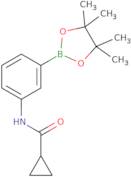 N-[3-(4,4,5,5-Tetramethyl-1,3,2-dioxaborolan-2-yl)phenyl]cyclopropanecarboxamide