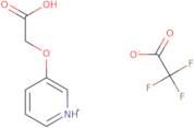 2-Pyridin-1-ium-3-yloxyacetic acid 2,2,2-trifluoroacetate