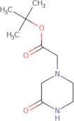 tert-Butyl 2-(3-oxopiperazin-1-yl)acetate