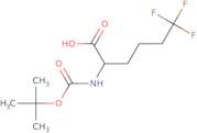 (S)-2-((tert-Butoxycarbonyl)amino)-6,6,6-trifluorohexanoic acid