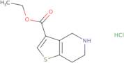 Ethyl 4,5,6,7-tetrahydrothieno[3,2-c]pyridine-3-carboxylate hydrochloride