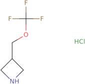 3-(Trifluoromethoxymethyl)azetidine hydrochloride