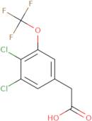 3,4-Dichloro-5-(trifluoromethoxy)phenylacetic acid