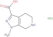 1-Methyl-1H,4H,5H,6H,7H-pyrazolo[3,4-c]pyridine-3-carboxylic acid hydrochloride