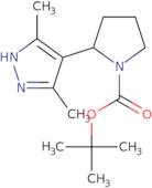 tert-Butyl 2-(3,5-dimethyl-1H-pyrazol-4-yl)pyrrolidine-1-carboxylate