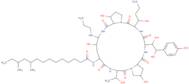 Caspofungin acetate-d4