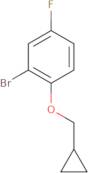 4-Fluoro-2-bromophenol methylcyclopropyl ether