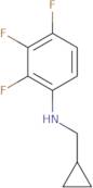 N-(Cyclopropylmethyl)-2,3,4-trifluoroaniline