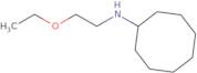 N-(2-Ethoxyethyl)cyclooctanamine